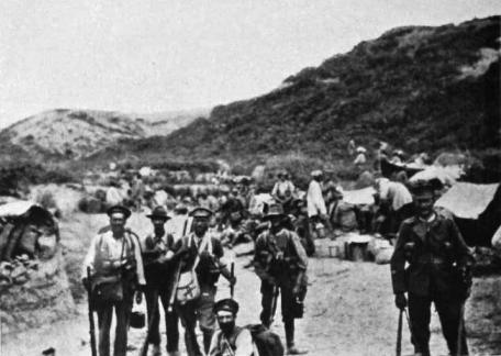 Wellington Mounted Rifles Soldiers on the Gallipoli Peninsula, Probably after the death of Reginald Dreaper